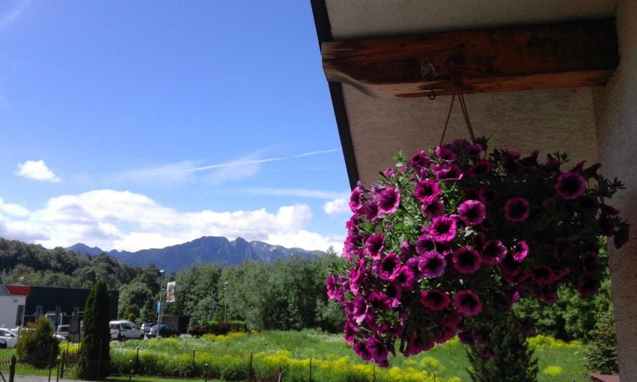 Pokoje Goscinne Agusia Zakopane Kültér fotó